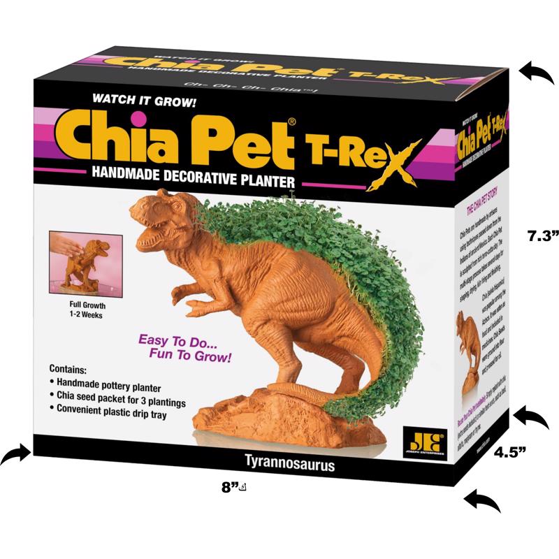 Chia Pet Dinosaur TRex Decorative Planter Terracotta Clay