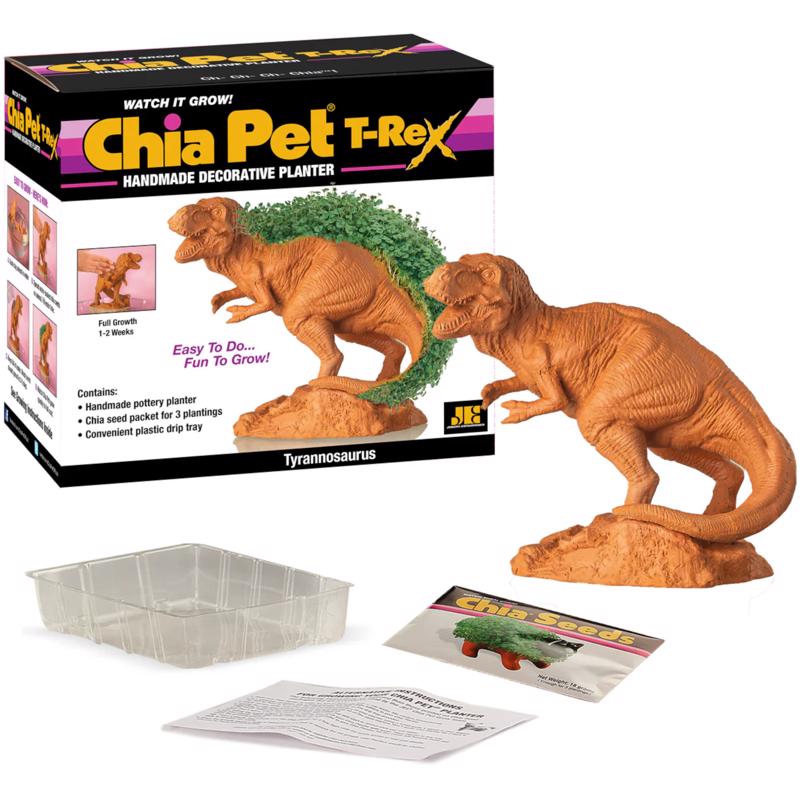 Chia Pet Dinosaur TRex Decorative Planter Terracotta Clay