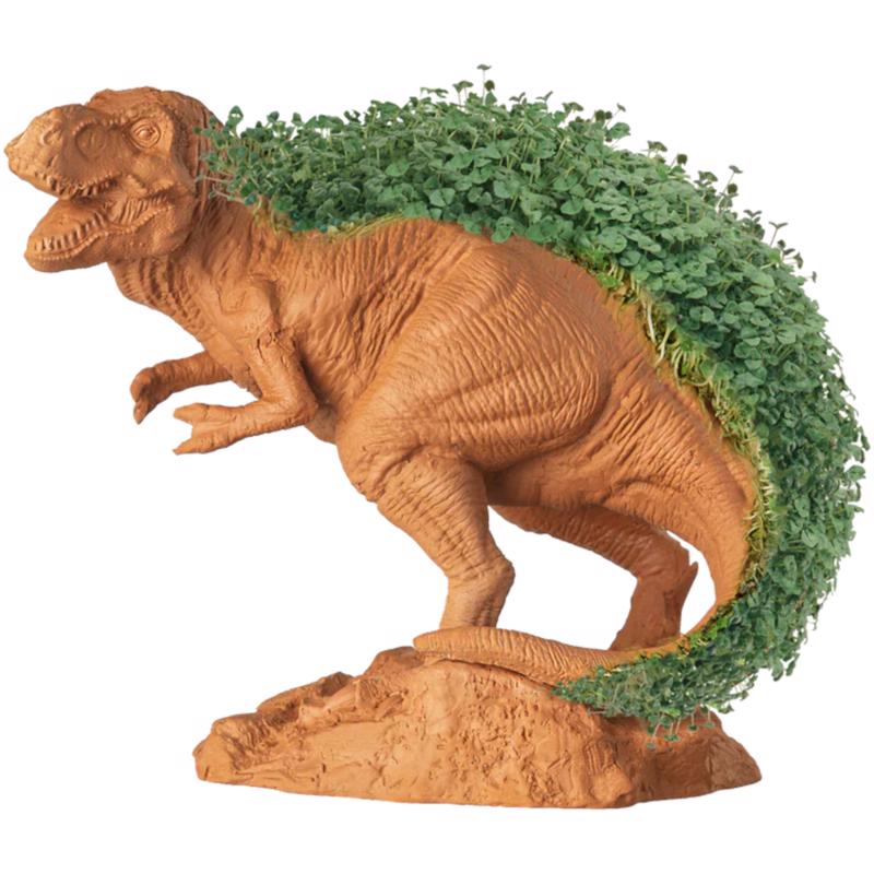 Chia Pet Dinosaur TRex Decorative Planter Terracotta Clay