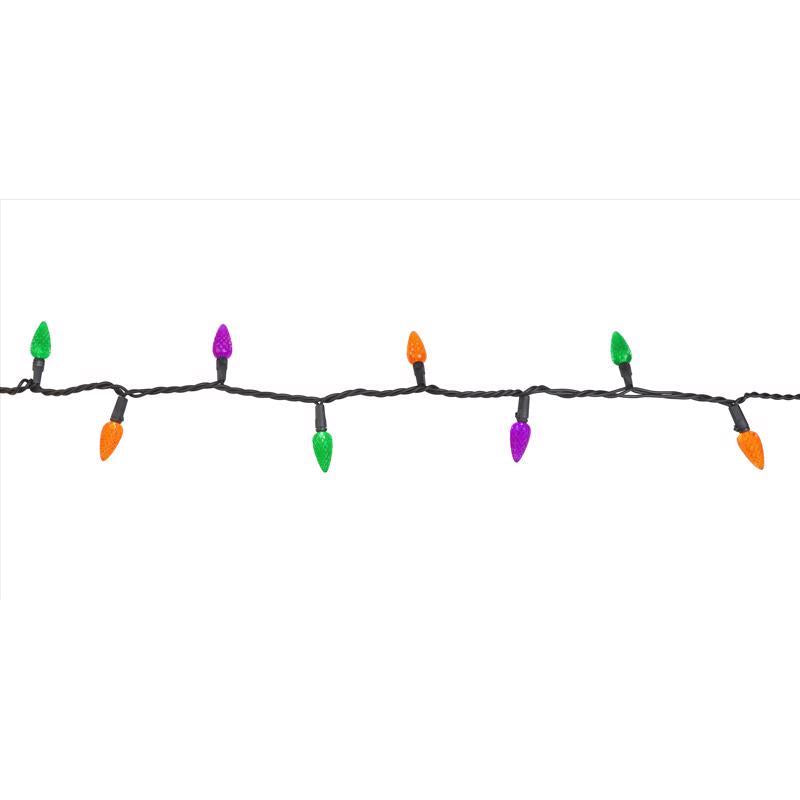 Celebrations Multicolored 100 ct LED String Lights