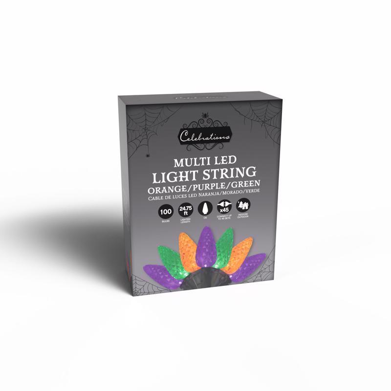 Celebrations Multicolored 100 ct LED String Lights