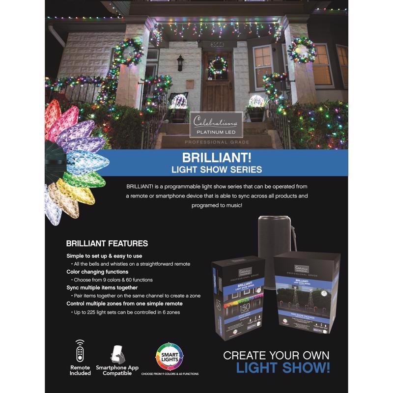 Celebrations Platinum LED RGBW 576 ct Christmas Lights 4 ft.
