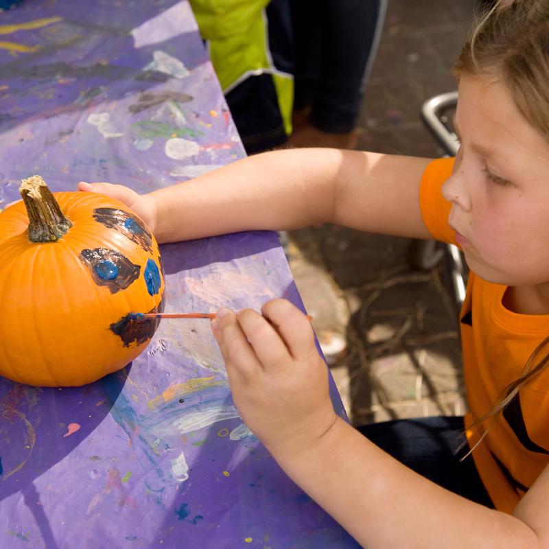 Pumpkin Masters My First Pumpkin Paint and Sticker Carving & Decorating Kit