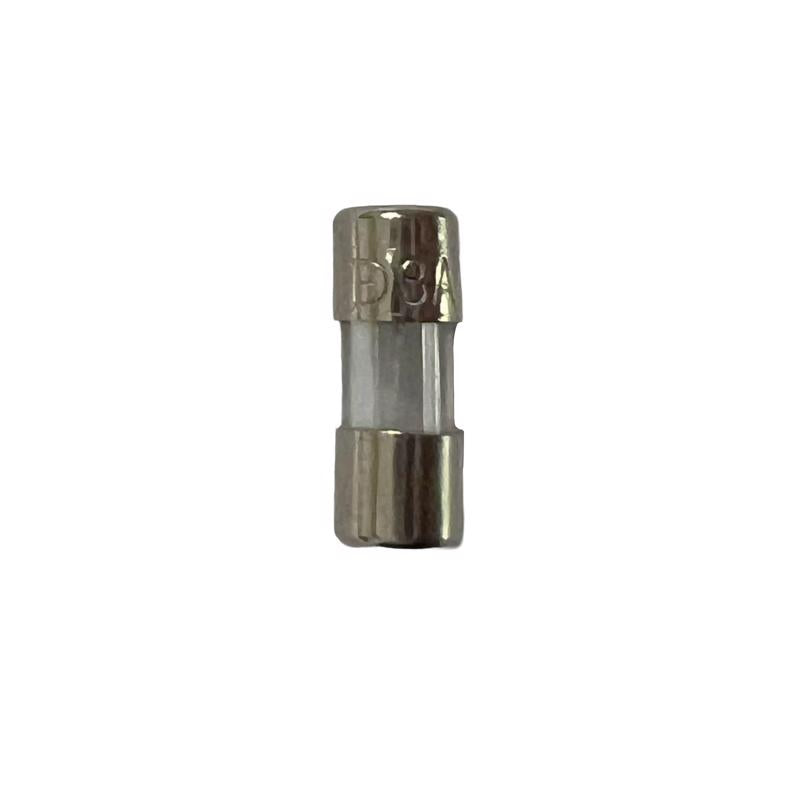 Celebrations LED Clear 6 ct Replacement 3Amp Fuse