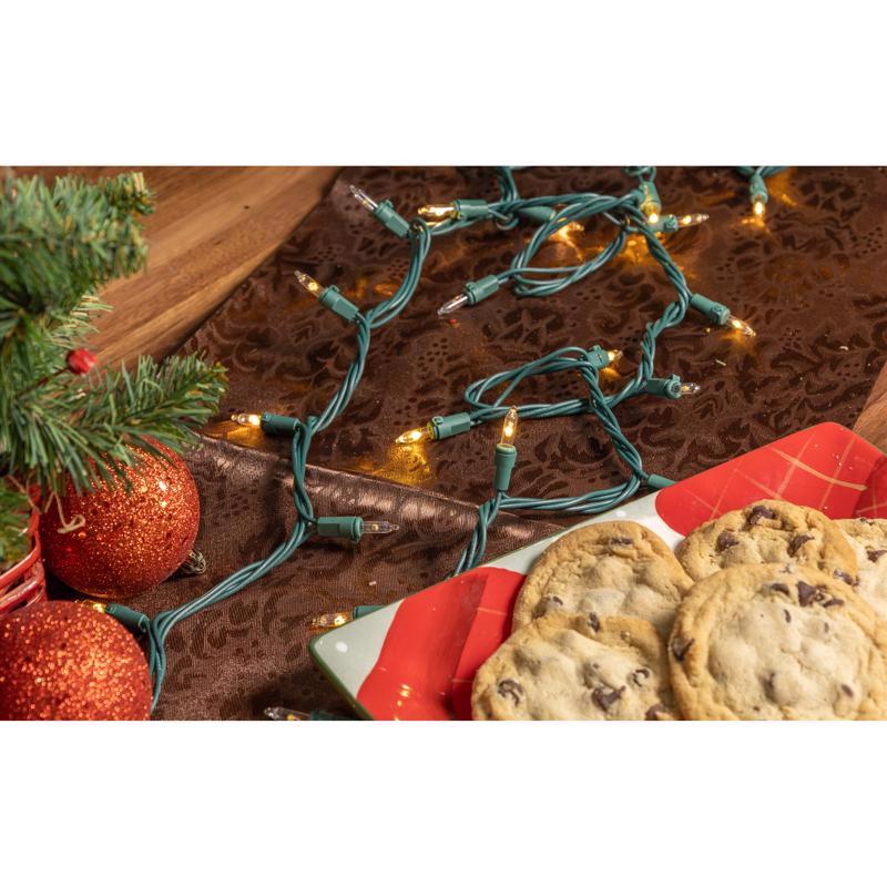 Celebrations LED T5 Warm White 50 ct String Christmas Lights