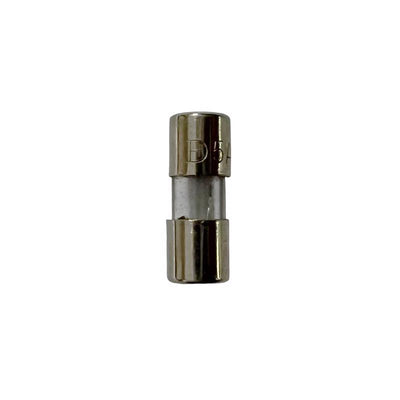 Celebrations Incandescent Clear 2 ct Replacement 5Amp Fuse
