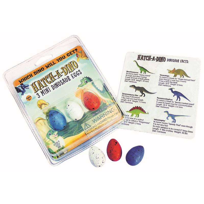 Zorbitz Mini Dinosaur Eggs Toy Multicolored 3 pc