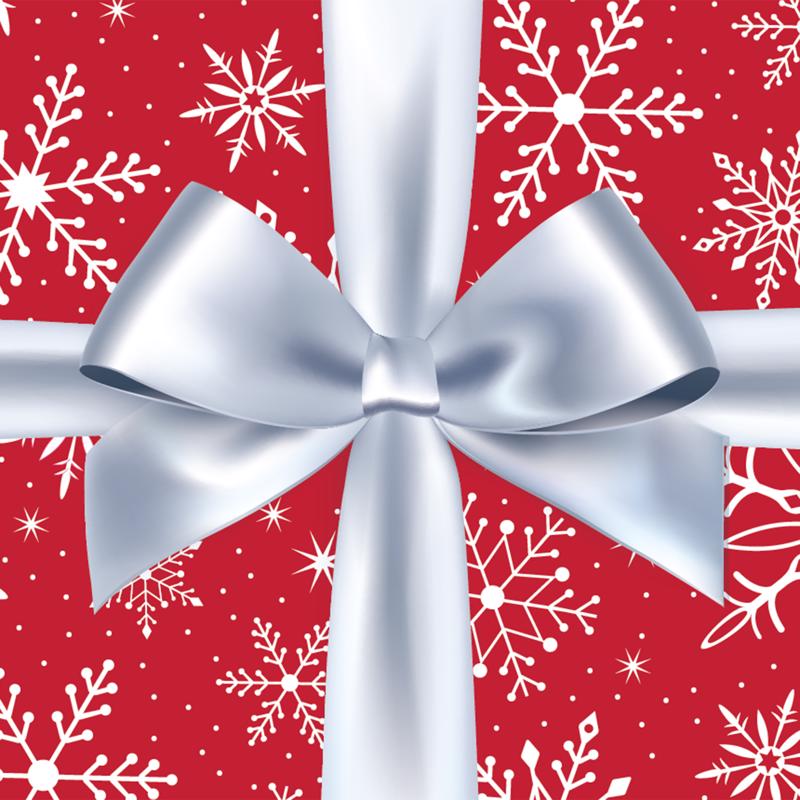 Dyno Snowflake 7 ft. Garage Door Cover