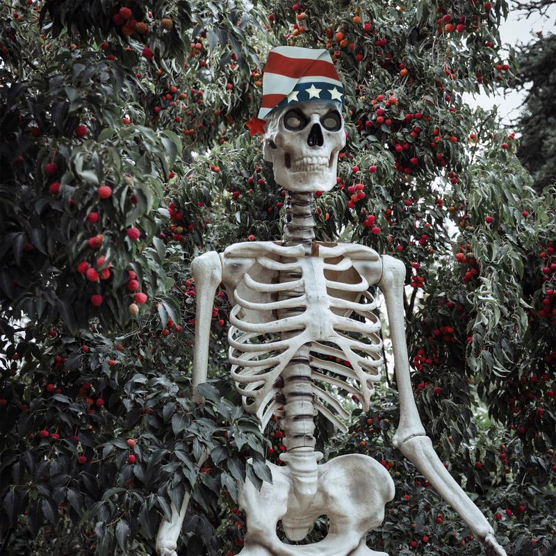 Dyno Skeleton Hat