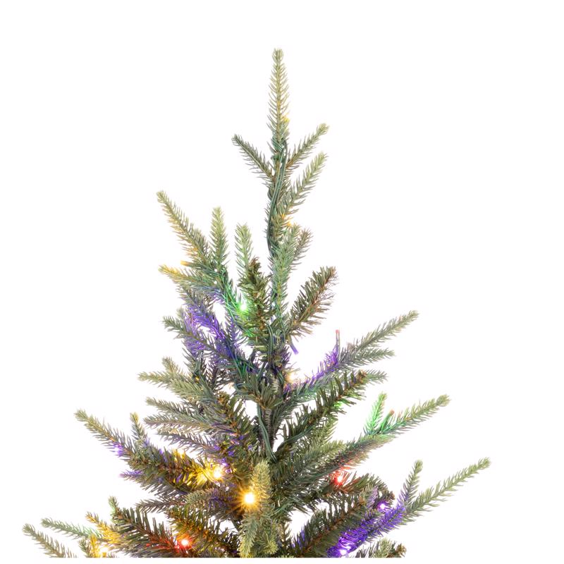 Celebrations 4 ft. Full LED 150 ct Maclura Pine Sparkle w/Barrel Stand Christmas Tree