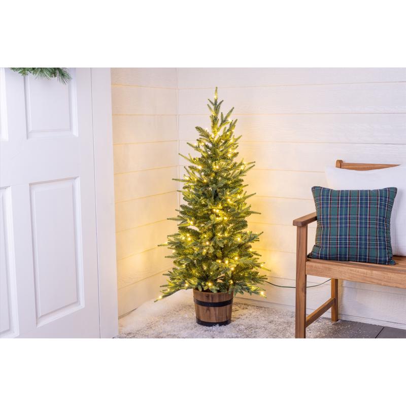 Celebrations 4 ft. Full LED 150 ct Maclura Pine Sparkle w/Barrel Stand Christmas Tree