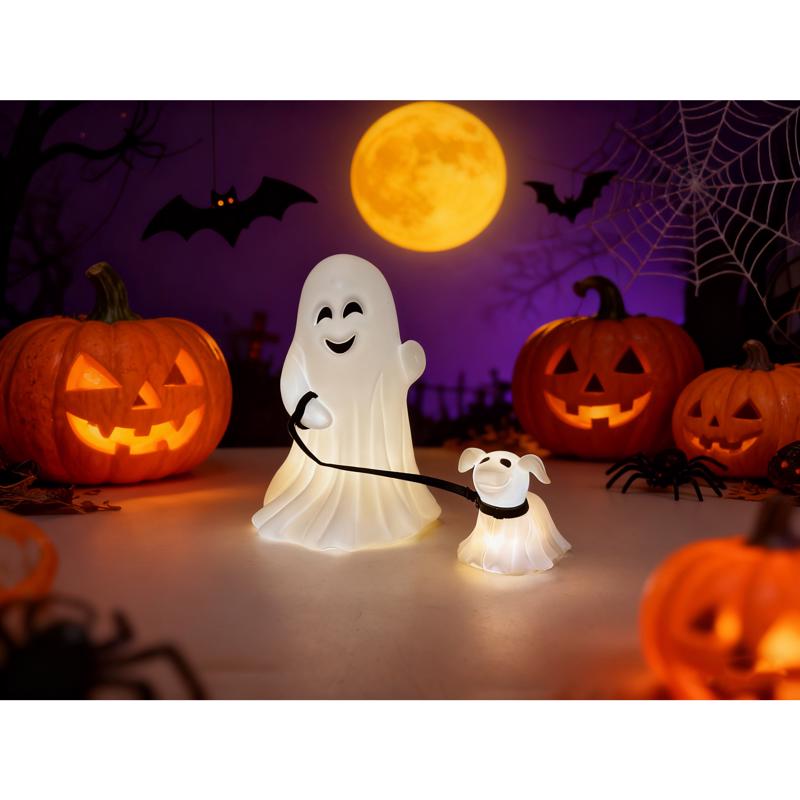 Decra Lite Ghost and Dog Blow Mold