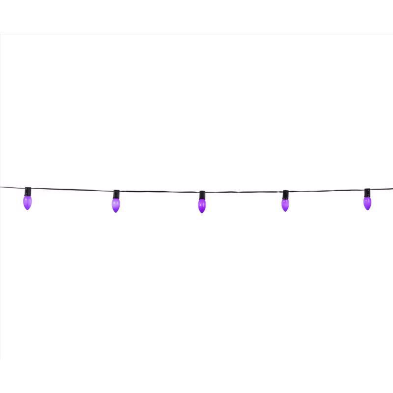 Celebrations Purple 25 ct LED Classic Halloween C9 Lights