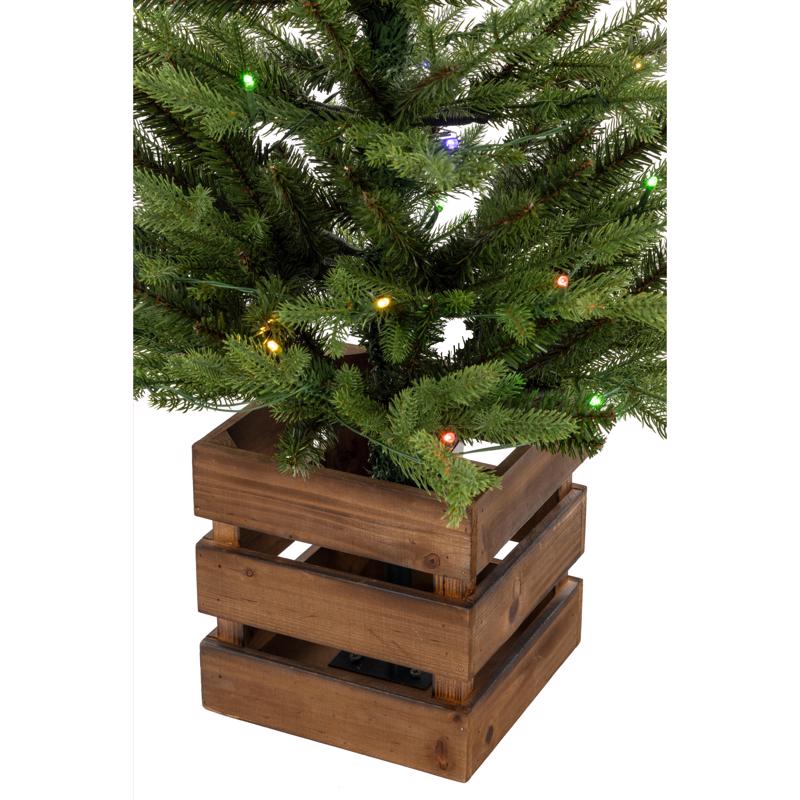 Celebrations 3 ft. Full LED 50 ct Fraser Fir w/ Wood Box Color Changing Entrance Tree