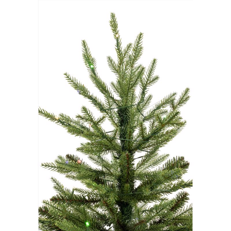Celebrations 3 ft. Full LED 50 ct Fraser Fir w/ Wood Box Color Changing Entrance Tree