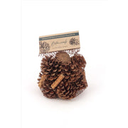 Second Nature Cinnamon Scented Pinecones Table Decor