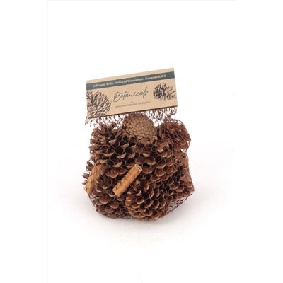 Second Nature Cinnamon Scented Pinecones Table Decor