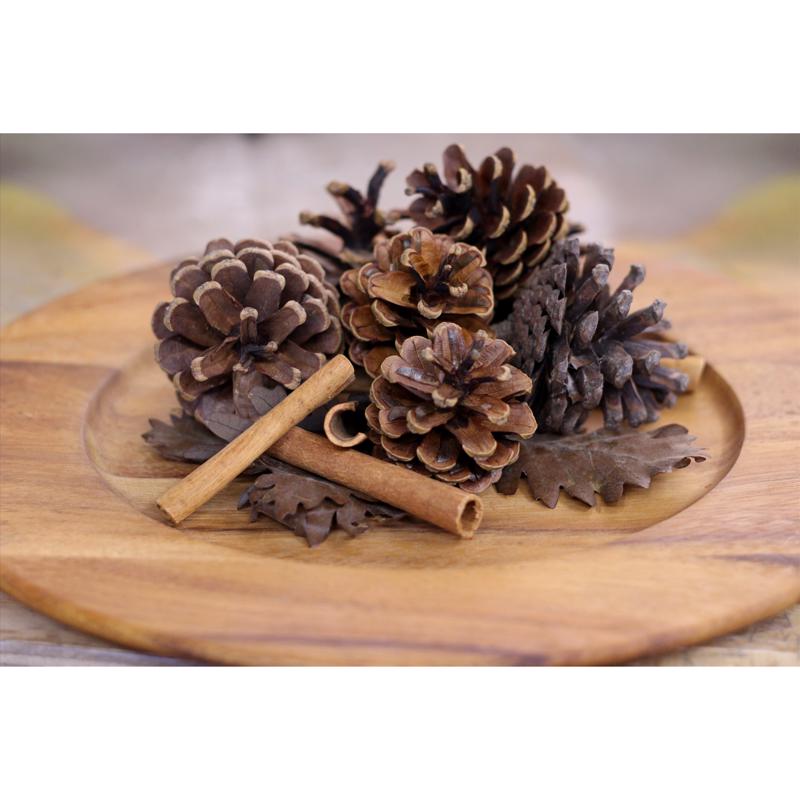 Second Nature Cinnamon Scented Pinecones Table Decor