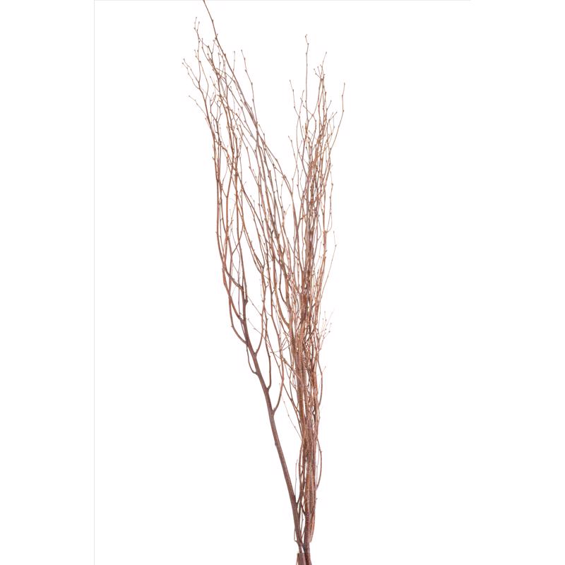 Second Nature Brown Birch Branches