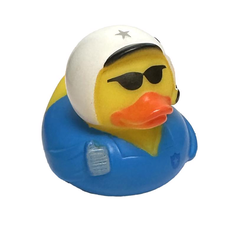 Co-pilots Duck Dash Companion