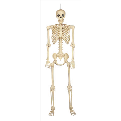 Seasons 60 in. Skeleton Halloween Decor