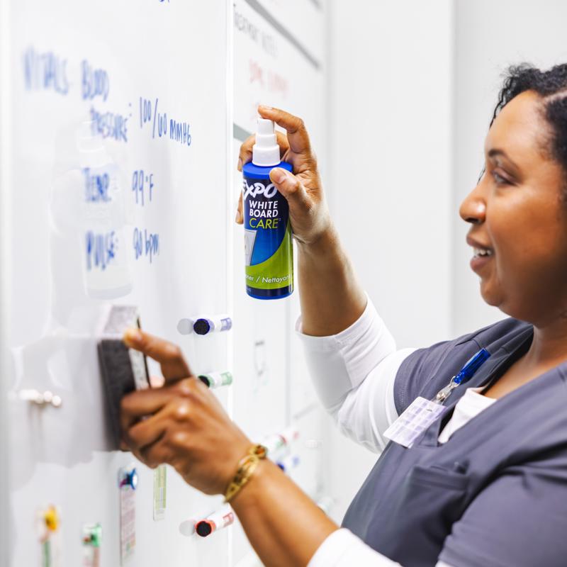 EXPO Whiteboard Cleaner