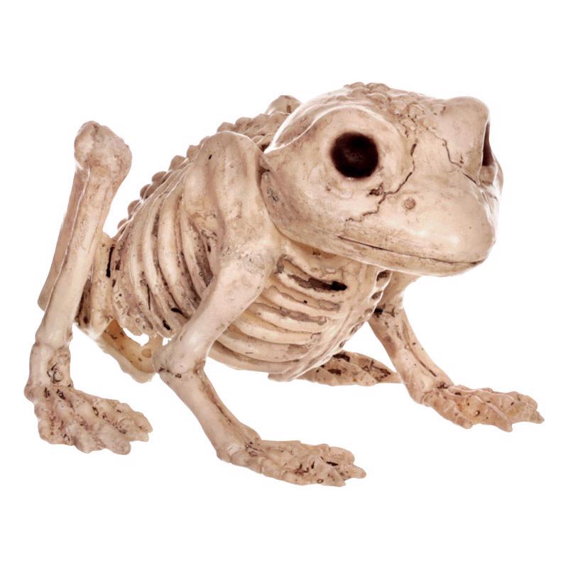 Seasons 6 in. Mini Animal Skeletons Halloween Decor