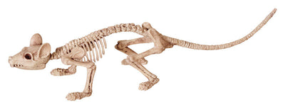 Seasons 6 in. Skeleton Asst Halloween Decor