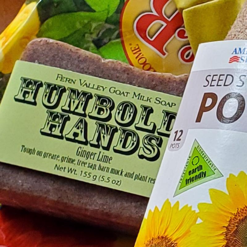 Fern Valley Soap Humboldt Hands Ginger & Lime Scent Hand Soap 6 oz