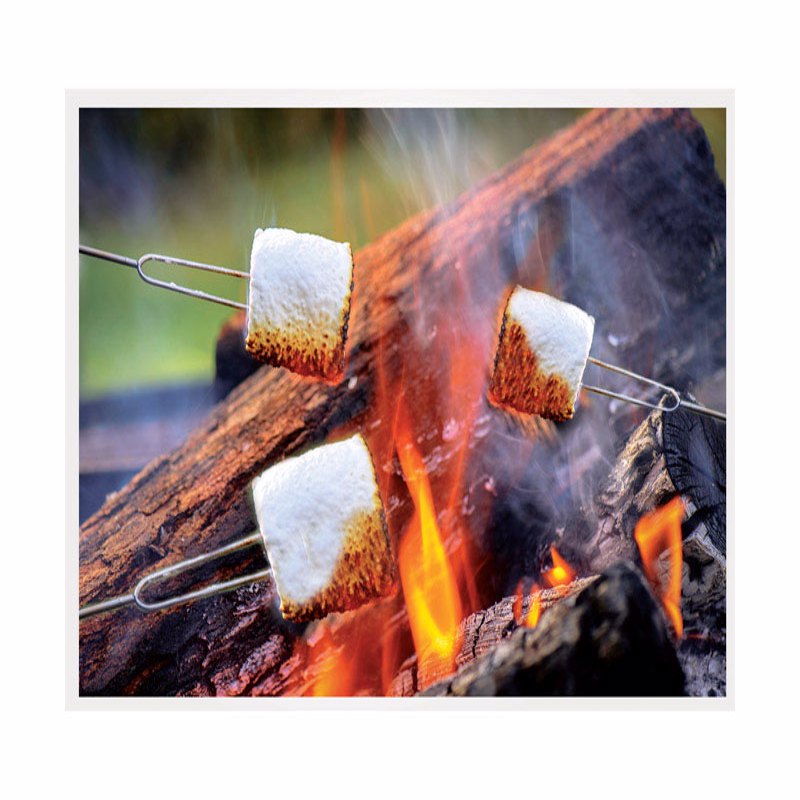 Blazing LEDz Open Flame Roasting Extendable Marshmallow Fork Plastic/Stainless Steel 3 pk